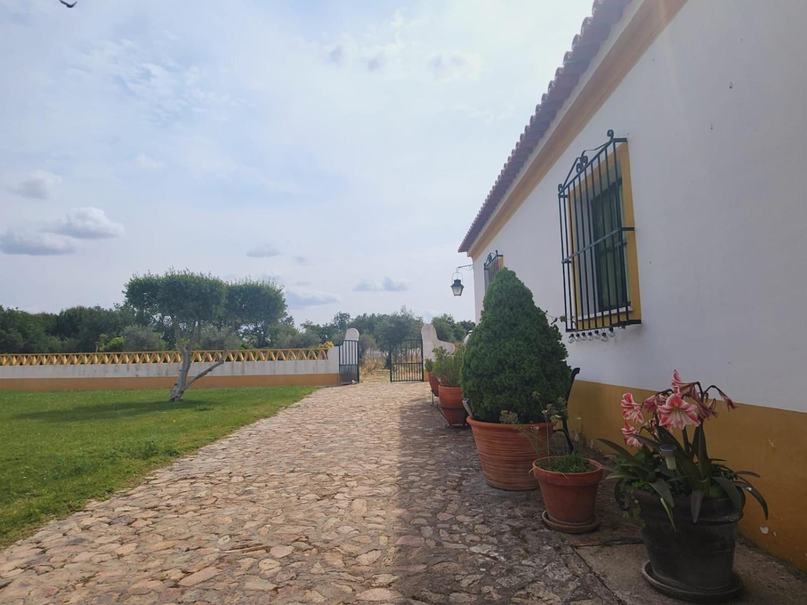 Vila Montinho Do Palanque Viana do Alentejo Exteriér fotografie