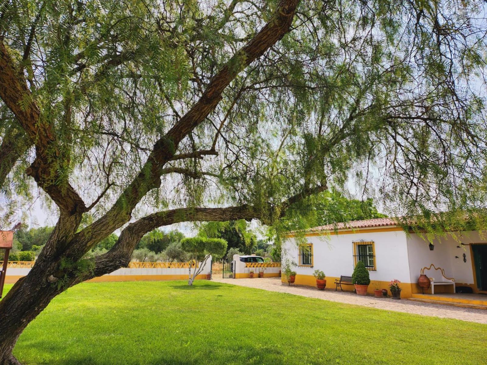 Vila Montinho Do Palanque Viana do Alentejo Exteriér fotografie