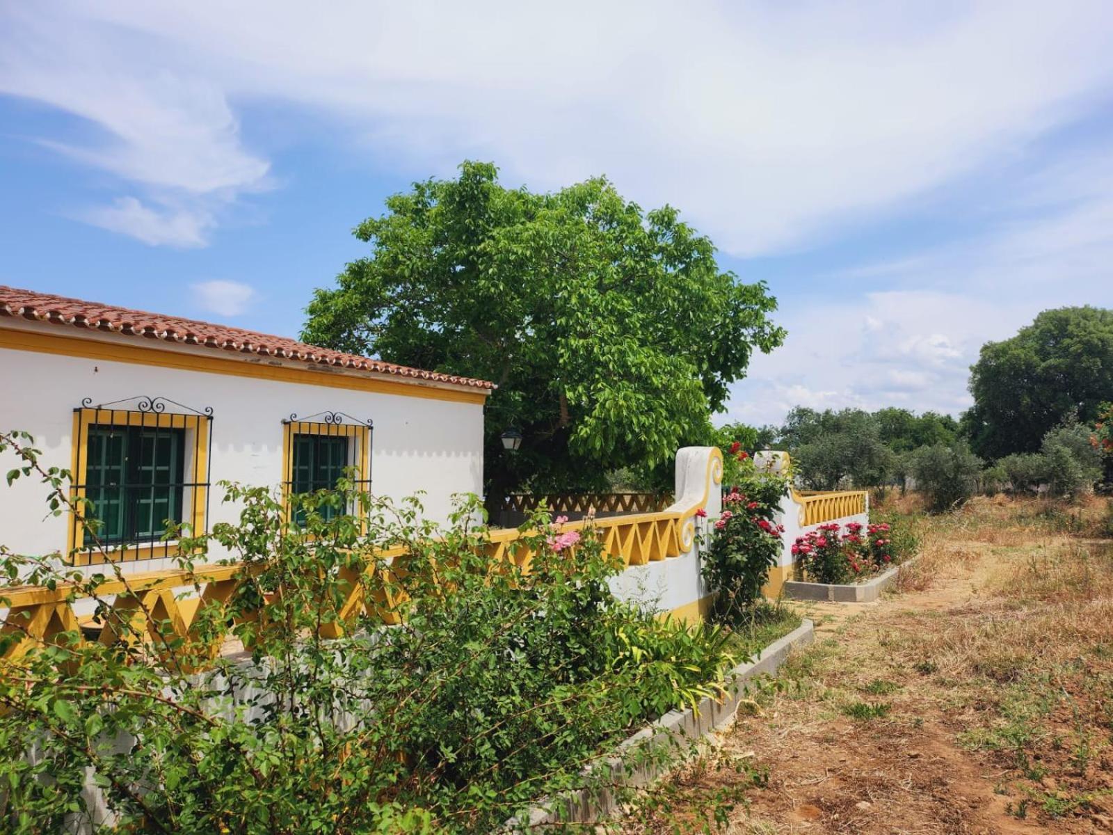 Vila Montinho Do Palanque Viana do Alentejo Exteriér fotografie